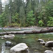 Stamp River Provincial Park and Campground