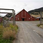 DLR Triangle Ranch Field and Barn