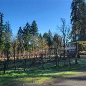 Millstone Winery