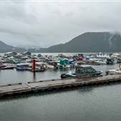 Shingle Mill Pub Marina