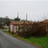 Back Alley Campbell River #1