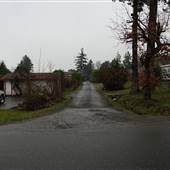 Back Alley Campbell River #2