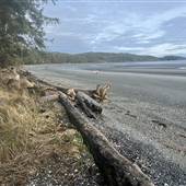 Storey's Beach