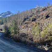 Zeballos Highway Burn Site