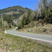 Port Alice Highway