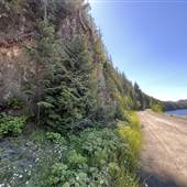 Maynard Lake - Alice Lake Loop