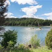 Roche Lake Forestry Campground - North