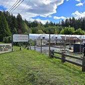Arrowsmith Greenhouses