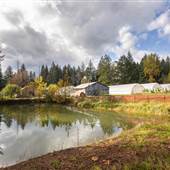 Amara Farm