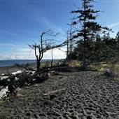 Salmon Point Nature Trail