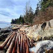 Jack and Browning Beach Access