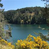 Matheson Lake Regional Park