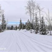 Tunkwa Lake FSR WINTER