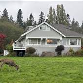 Holly Hills Farm