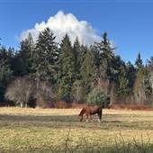 Jay Lowler Farm