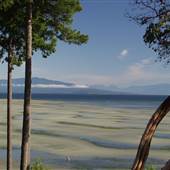 Rathtrevor Beach Provincial Park