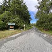 Duncan Airport