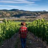 Harper's Trail Estate Winery