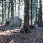 Panther Paintball & Airsoft Sports Park