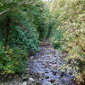 Little Bear Bay Creek & Footpath