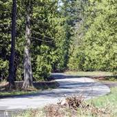 Martini Acres - Highlights