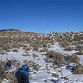 Sabiston Creek Road - Arid WINTER