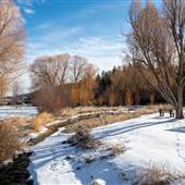 Reg Conn Park - Winter