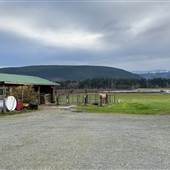 Northy Lake Dairy Farm