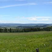 Philip Farm Forest & Meadows