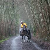 Lochside Trail