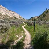 Dallas-Barnhartvale Nature Park SPRING