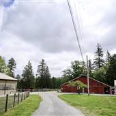 Valley Therapeutic Equestrian Association