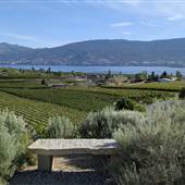 SUMMERLAND LANDSCAPES / VISTAS
