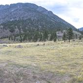 Murray Creek Road Plateaus, Forest and Ravines