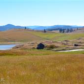 Frolek Homestead Ranch in Grasslands SUMMER