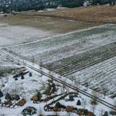 Privato Vineyard & Winery and Woodward Cider Co & Tree Farm WINTER