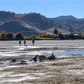 Shuswap Road South Thompson River Beach
