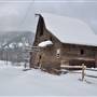 APEX GUEST RANCH