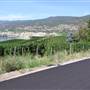 KING VINEYARDS