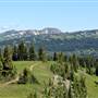 ALPINE MEADOWS MANING PARK