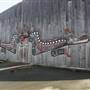 Fort Rupert Bighouse