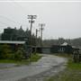 Old Fish Packers in Bamfield