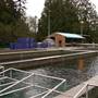 Robertson Creek Fish Hatchery