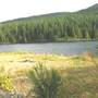 Lizard Lake