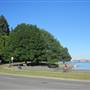 Stanley Park - Open Field
