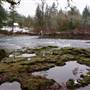 Papermill Dam Park