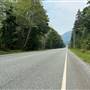 Gold River Mill Road