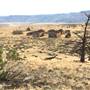 Palomino Ridge Western Town