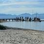 Manson’s Landing