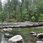 Stamp River Provincial Park and Campground